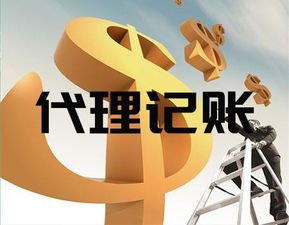 臨沂會(huì)計(jì)代理記賬公司 一站式專(zhuān)業(yè)服務(wù)助力企業(yè)高效發(fā)展