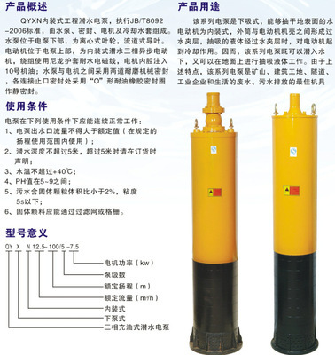 廠家直銷QYXN內(nèi)裝式工程潛水泵 探索上海順民電機水泵廠的品質(zhì)與技術(shù)革新